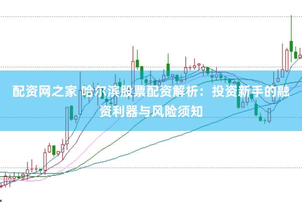 配资网之家 哈尔滨股票配资解析：投资新手的融资利器与风险须知
