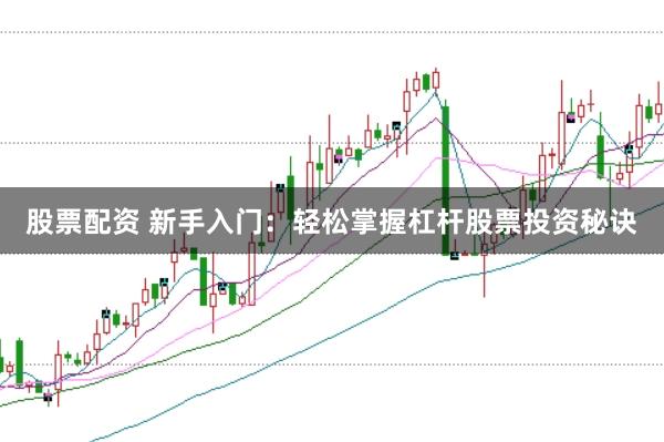 股票配资 新手入门：轻松掌握杠杆股票投资秘诀