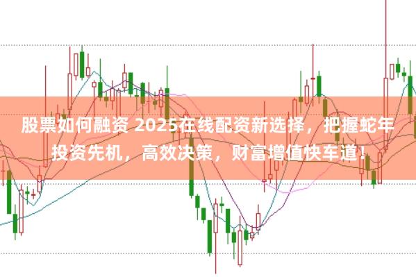 股票如何融资 2025在线配资新选择，把握蛇年投资先机，高效决策，财富增值快车道！