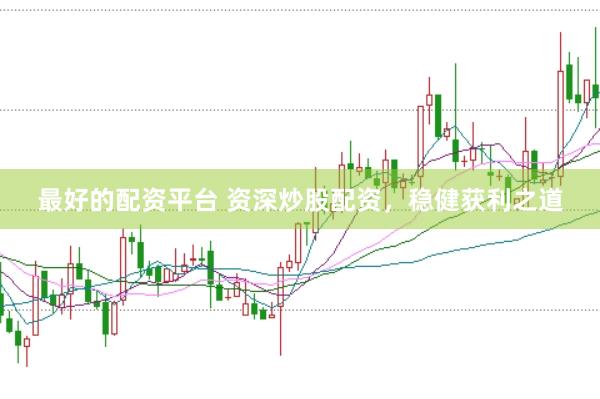 最好的配资平台 资深炒股配资，稳健获利之道