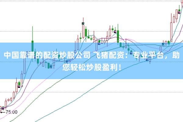 中国靠谱的配资炒股公司 飞猪配资：专业平台，助您轻松炒股盈利！
