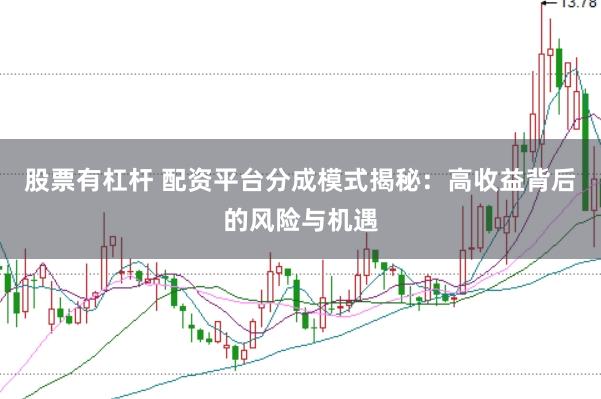股票有杠杆 配资平台分成模式揭秘：高收益背后的风险与机遇