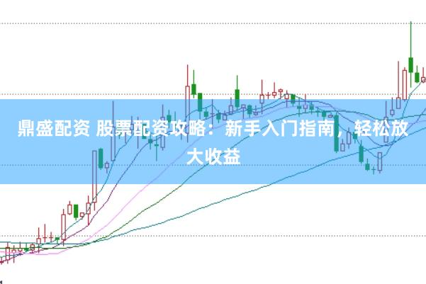 鼎盛配资 股票配资攻略：新手入门指南，轻松放大收益