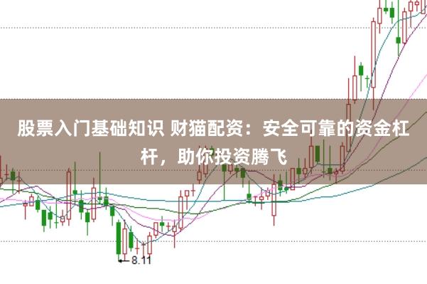 股票入门基础知识 财猫配资：安全可靠的资金杠杆，助你投资腾飞