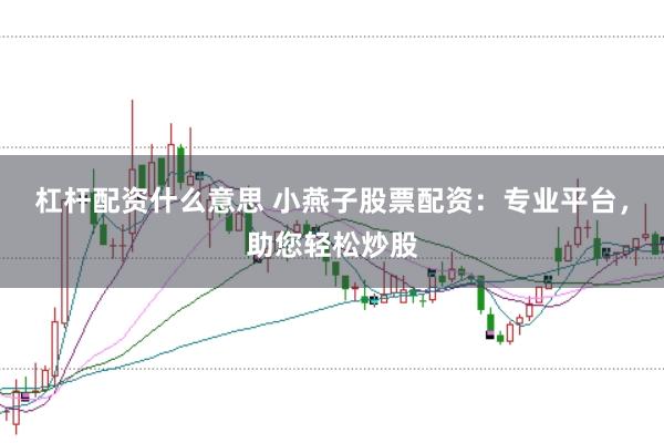 杠杆配资什么意思 小燕子股票配资：专业平台，助您轻松炒股