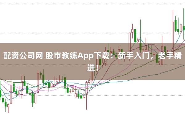 配资公司网 股市教练App下载：新手入门，老手精进！
