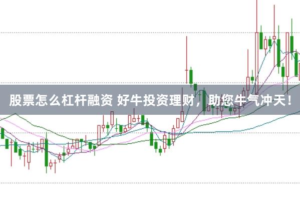 股票怎么杠杆融资 好牛投资理财，助您牛气冲天！