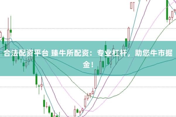 合法配资平台 臻牛所配资：专业杠杆，助您牛市掘金！