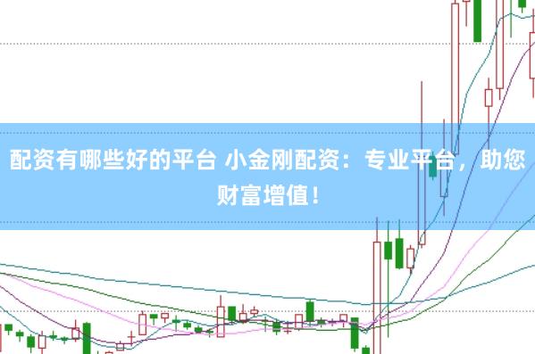 配资有哪些好的平台 小金刚配资：专业平台，助您财富增值！
