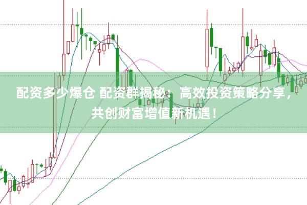 配资多少爆仓 配资群揭秘：高效投资策略分享，共创财富增值新机遇！