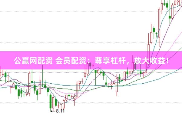 公赢网配资 会员配资：尊享杠杆，放大收益！