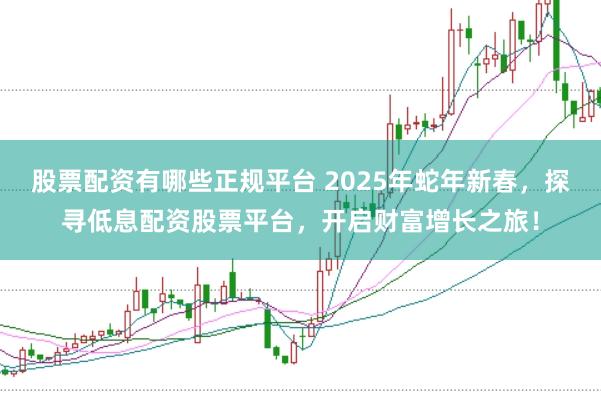 股票配资有哪些正规平台 2025年蛇年新春，探寻低息配资股票平台，开启财富增长之旅！