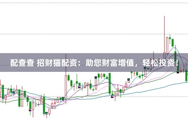 配查查 招财猫配资：助您财富增值，轻松投资！