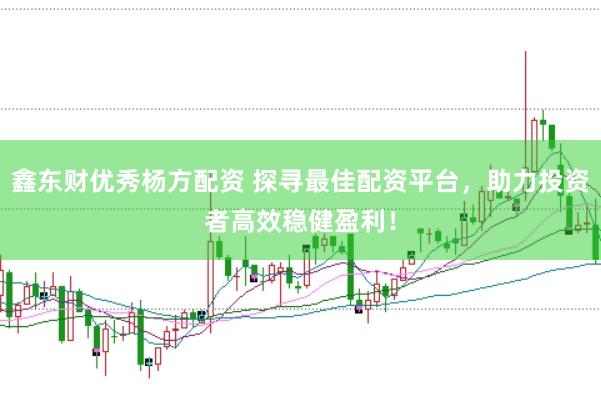 鑫东财优秀杨方配资 探寻最佳配资平台，助力投资者高效稳健盈利！