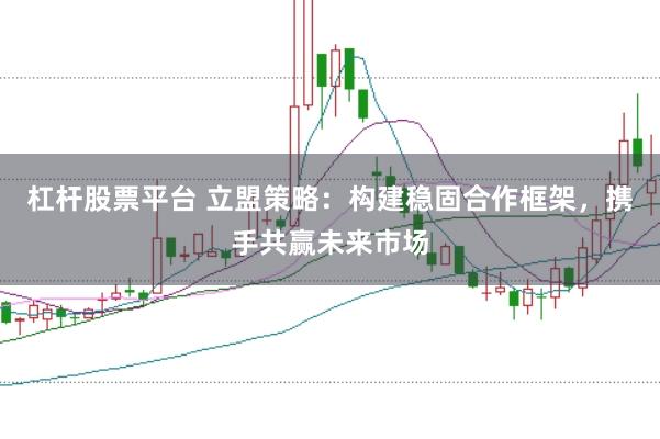 杠杆股票平台 立盟策略：构建稳固合作框架，携手共赢未来市场
