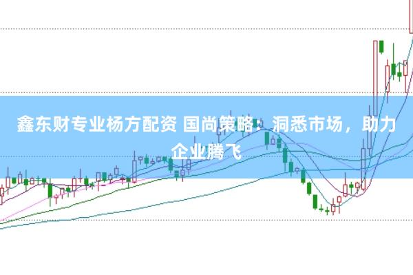 鑫东财专业杨方配资 国尚策略：洞悉市场，助力企业腾飞