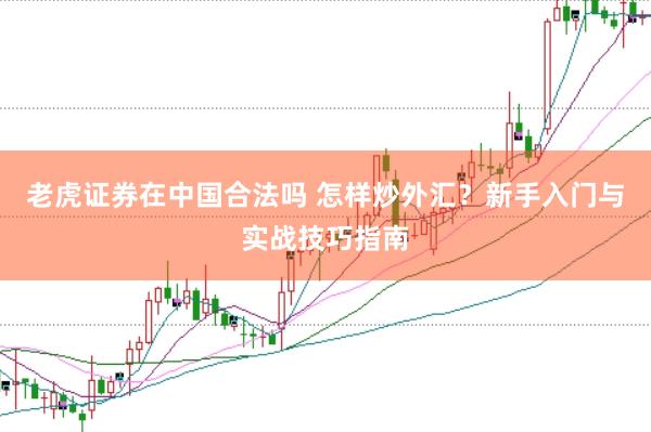 老虎证券在中国合法吗 怎样炒外汇？新手入门与实战技巧指南