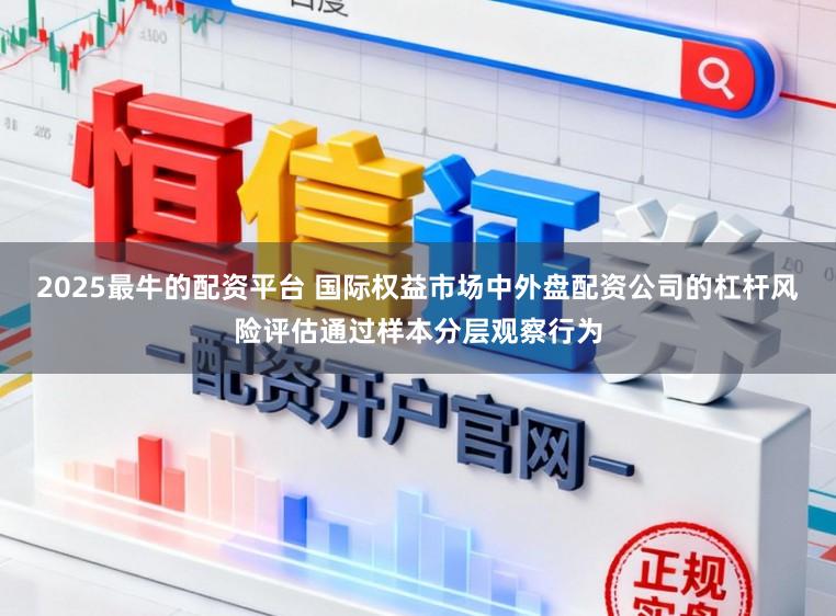 2025最牛的配资平台 国际权益市场中外盘配资公司的杠杆风险评估通过样本分层观察行为