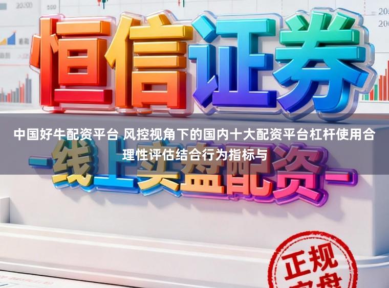 中国好牛配资平台 风控视角下的国内十大配资平台杠杆使用合理性评估结合行为指标与