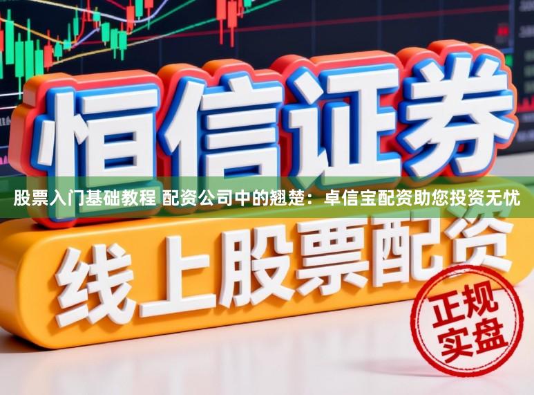 股票入门基础教程 配资公司中的翘楚：卓信宝配资助您投资无忧