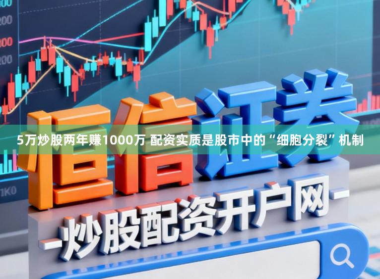 5万炒股两年赚1000万 配资实质是股市中的“细胞分裂”机制